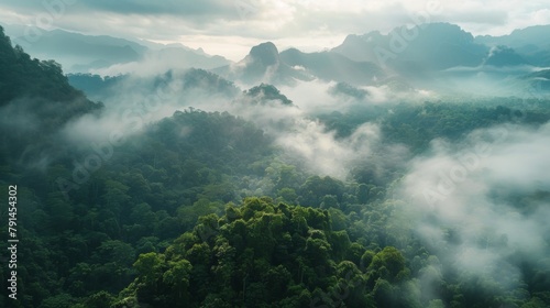 Beautiful misty mountain landscape with forest in the foreground © wanna