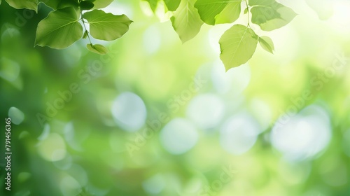 Blurred background of green leaves with bokeh effect atmosphere of spring or summer wallpaper.