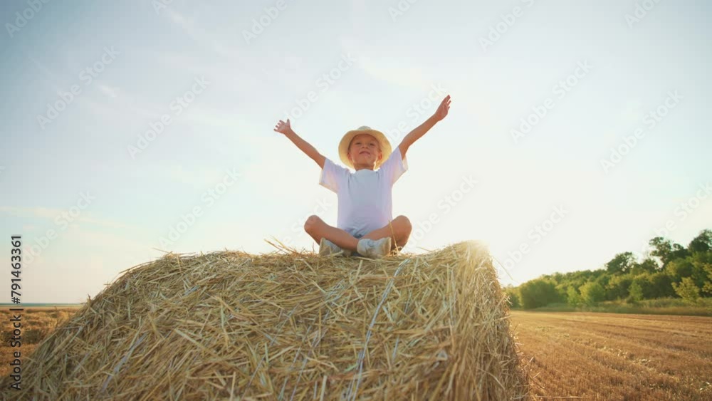 Boy playing on field with hay roll. Cheerful child boy playing together on agricultural field with hay roll on a big straw bale at countryside at sunset. Childhood, summer recreation, farmers concept. Boy playing on field with hay roll. Cheerful child boy playing together on agricultural field with hay roll on a big straw bale at countryside at sunset. Childhood, summer recreation, farmers concept.