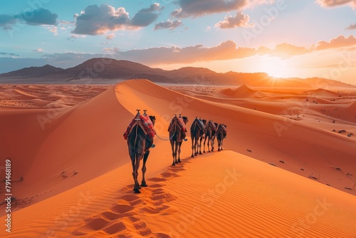 a desert scene across a dune professional photography