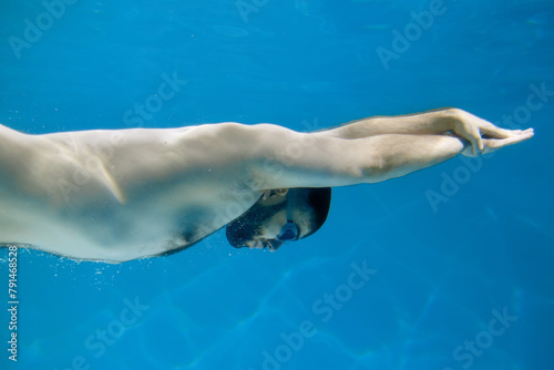 Creative concept. A man swims in the depths of a pool