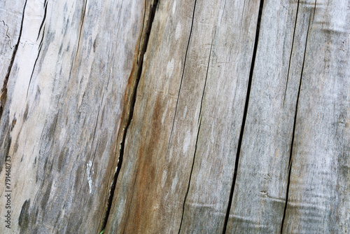 old wood texture_2