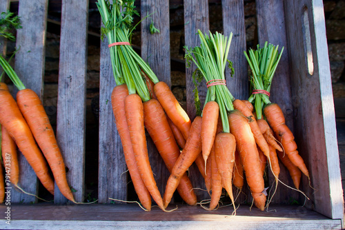 Wooden box with bunches of fresh organic cultivated carrots ready for sale at farmers market. photo