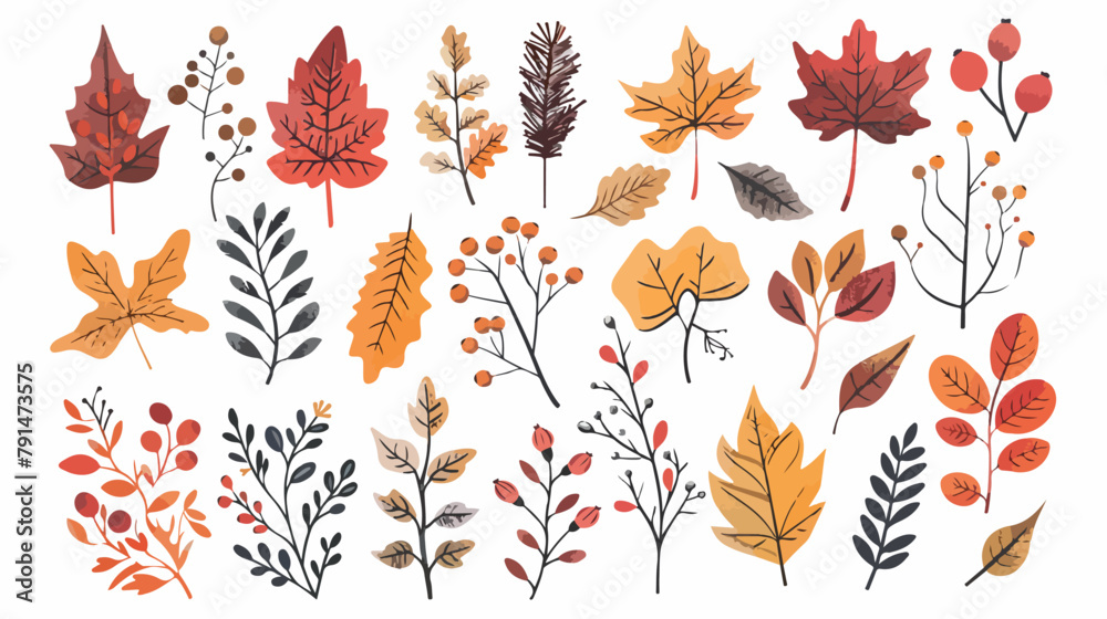 Autumn foliage hand drawn vector illustrations set. D