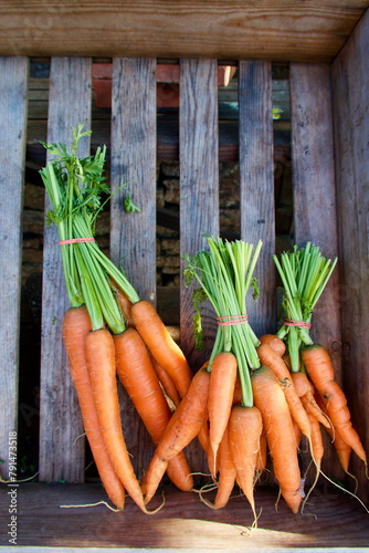 Wooden box with three bunches of fresh organic cultivated carrots ready for sale at farmers market. photo