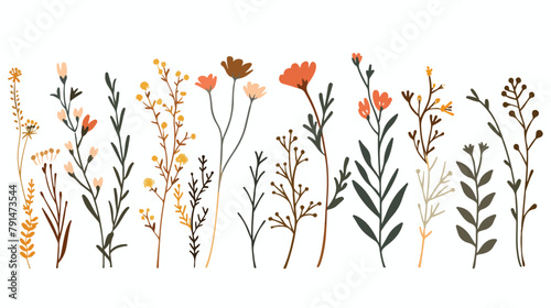 Autumn flowers floral card design. Fall herbs herbal