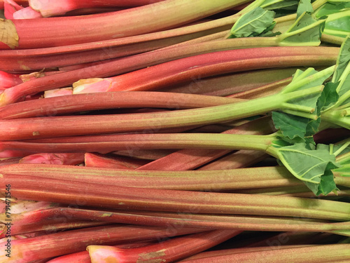 Quadro em tela Close-up of a heap of organic cultivated red rhubarb stalks ready for sale at farmers market in spring