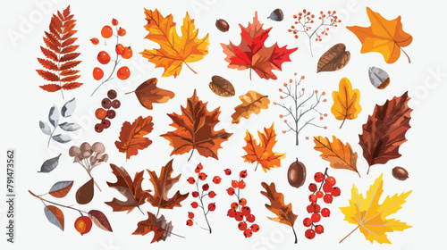 Autumn foliage hand drawn vector illustrations set. D