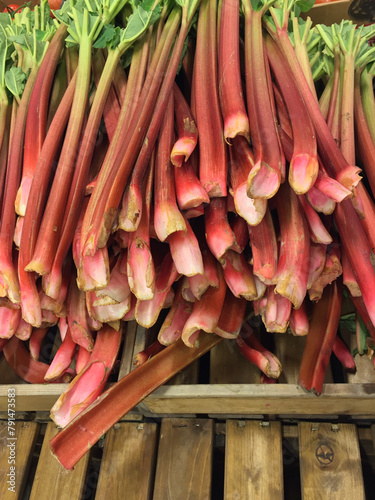 Close-up of a heap of organic cultivated red rhubarb stalks ready for sale at farmers market in spring.