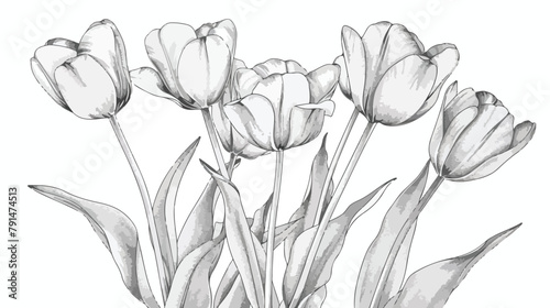 Beautiful tulip flowers hand drawn with contour lines #791474513