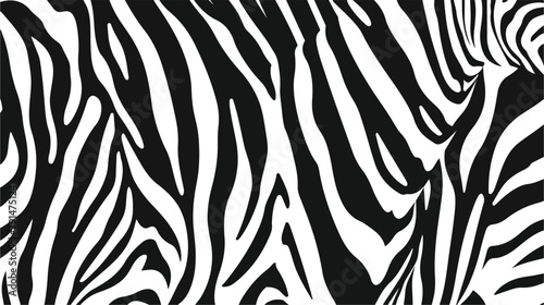 Black and white trendy zebra print vector flat illustrations