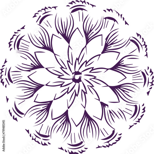 Beautiful mandala art and vector mandala design.