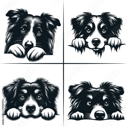 Peeking Australian Shepherd Clipart, Peeking Paws, Dog Breed, K-9, Animal Pet Vector 