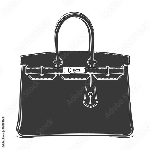 Silhouette women handbag black color only full