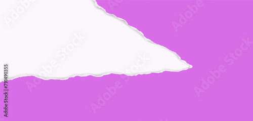 Pink torn paper strips with soft shadow are on white background Vector illustration.