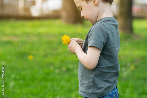 Three year old caucasian toddler boy holds a yellow dandelion in his hands. Nature and childhood concept.