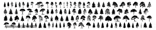 Filled silhouette tree line drawing set  Side view  set of graphics trees elements outline symbol for architecture and landscape design drawing. Vector illustration in stroke fill  mega collection