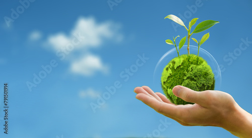 Green globe and growing tree in human hand green background with sky Protect the environment keep the world clean ecological concept Card for Earth Day.