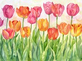 Rows of tulips stood like soldiers in vibrant uniforms, guarding the secrets of spring with pride, light watercolor style