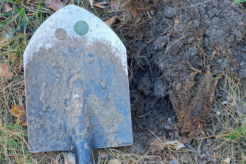 two old iron coins lie on a dirty iron sharp black shovel near a hole on the ground during the day on the street during a treasure hunt