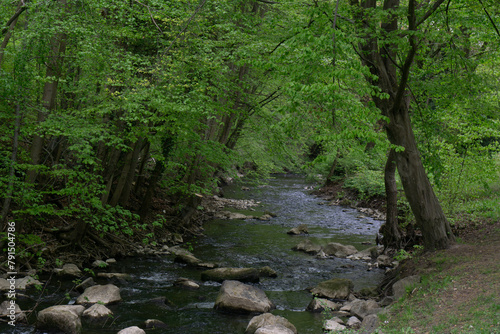 Region Teutoburger Wald, Bach