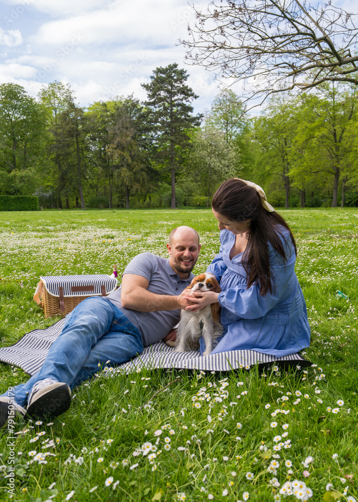 Fototapeta premium Happy pregnant couple spends time together on a picnic outdoors with a pet, dog, cocker spaniel. Waiting for a baby, love.