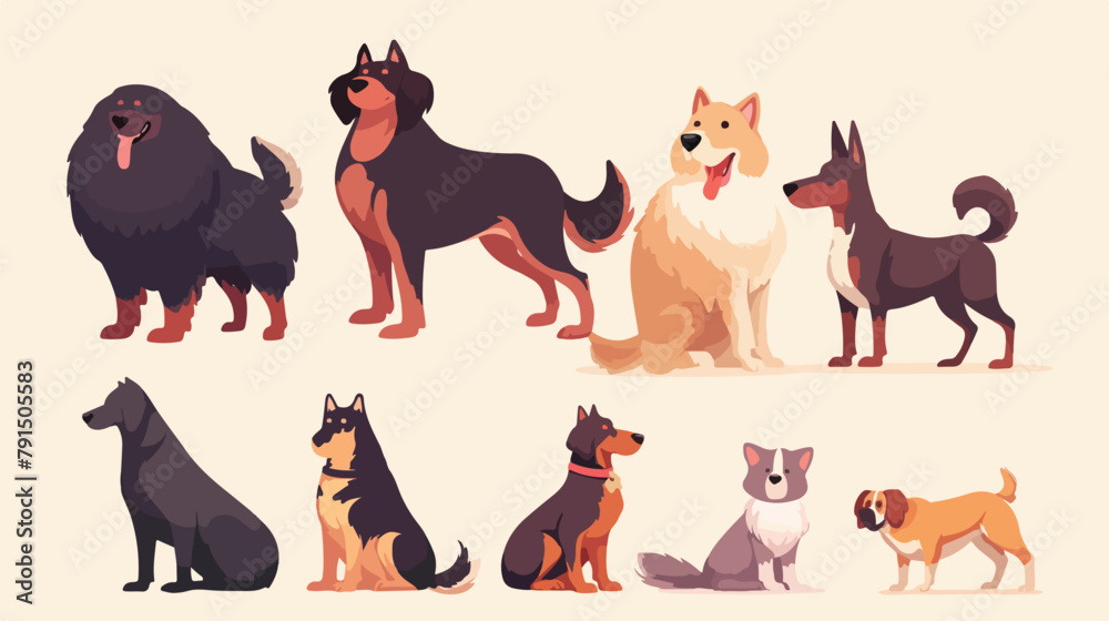 Different type of dogs set. Big and small dog anima