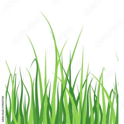 Green realistic seamless grass silhouette isolated on transparent background