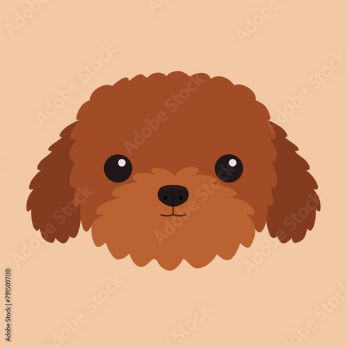 Poodle maltipoo brown dog puppy. Cute cartoon kawaii funny pet baby animal character. Round face icon. Love greeting card. St