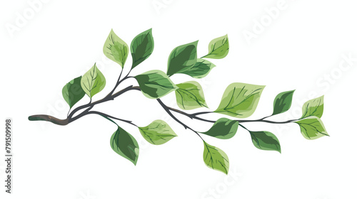 Leaf tree spring forest plant. Green leaves on branch