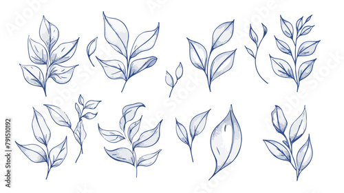 leaves line icon style curly leaves nature decoration