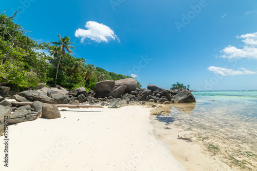 White sand, rocks and palms in a tropical beach © Gabriele Maltinti