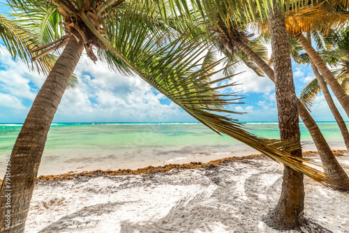 Palm trees by the sea in a tropical beach © Gabriele Maltinti