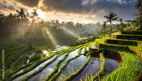 Indonesian Idyll: Tegallalang Rice Terraces Glow Under Bali's Golden Dawn photo