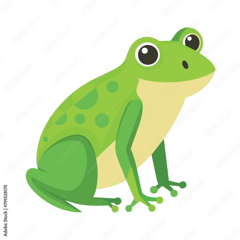 Frog flat vector illustration, a frog vector art illustration white background Frog flat vector illustration, a frog vector art illustration white background