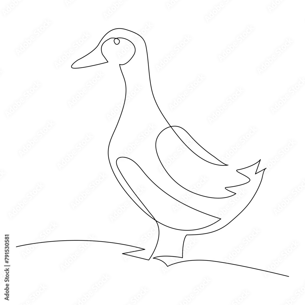 Continuous one single line art drawing of pet animal duck concept outline vector