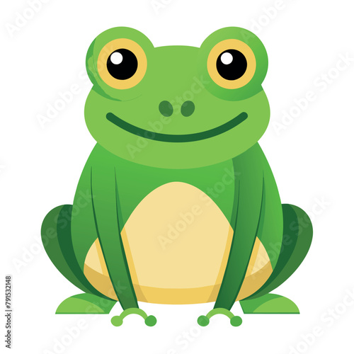 Frog flat vector illustration  a frog vector art illustration white background