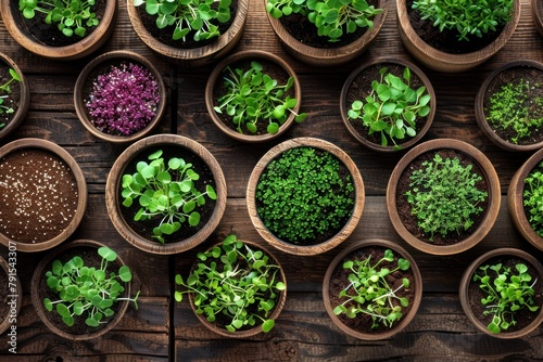 Different types of microgreen in wooden box or container, basilic, dill sprouts, radishes, peas, healthy food and vegan diet concept, plant on a light background, banner photo, AI generated