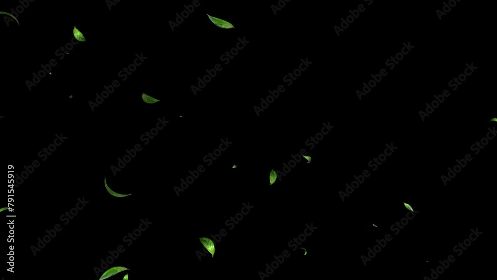 Green Leaves flying with Alpha Channel, Autumn spring season leaves fall motion graphic background