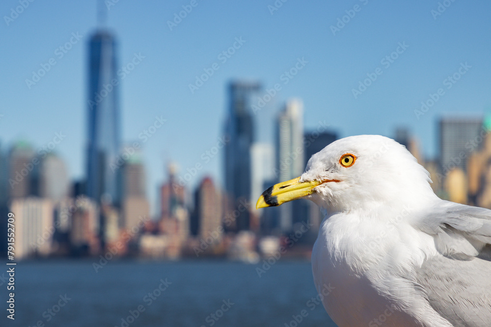 Obraz premium Lower Manhattan skyline in New York City (USA)
