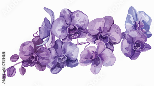 Amethyst Orchid color palette lettering text illustration