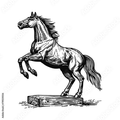 horse standing rearing up engraving black and white outline