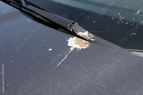 Φωτογραφία Bird droppings on the rear windshield of a car, highlighting the need for regula