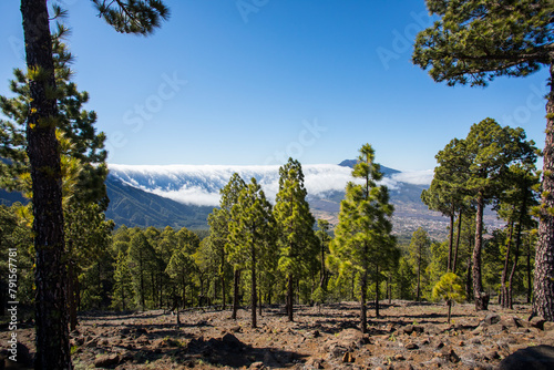 Landscape in Bejenado Peak in Caldera de Taburiente, La Palma, Spain photo