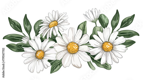 Chamomile Flower or White Daisy Daisy with Leaves Bou photo