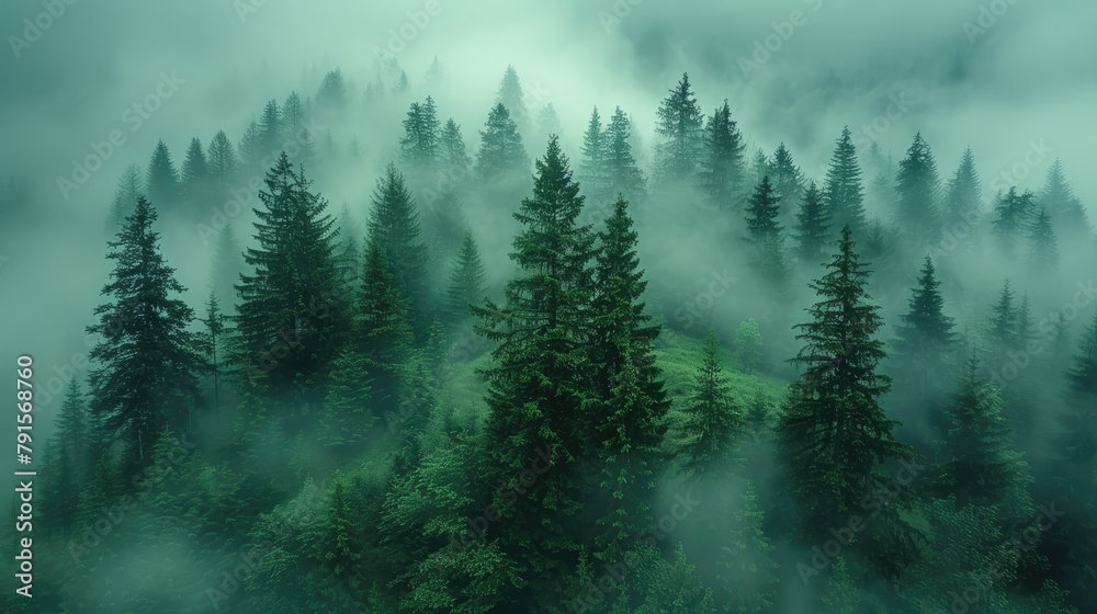 Fototapeta premium Fractal forests emerging from the mist, blending nature with algorithmic art