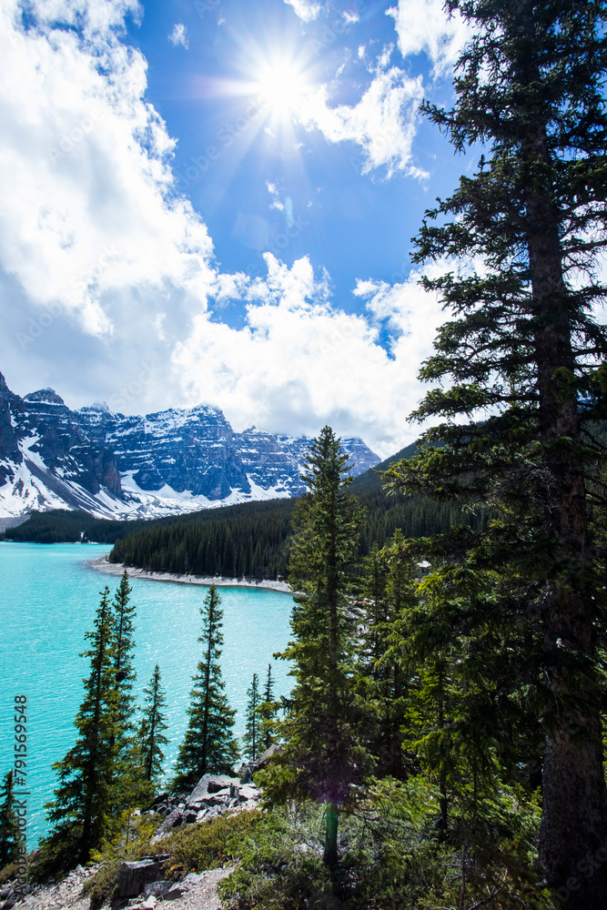 Summer landscape in Moraine lake, Banff National Park, Canada Summer landscape in Moraine lake, Banff National Park, Canada