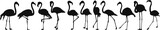 flamingo set silhouette on white background vector