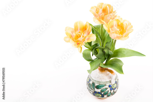 Double soft yellow tulips in a vase on a white background. Spring tulips bouquet isolated.