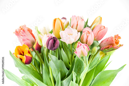 Elegant mixed pastel colored spring bouquet on white background. Spring tulips. Tulips bouquet.